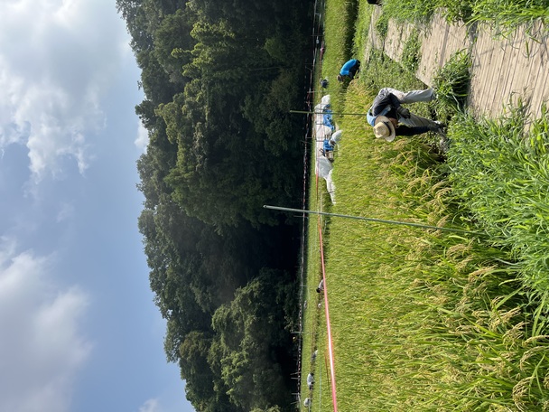 田んぼの草刈りと氏神様のお祭り